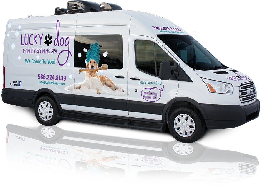 Mobile pet spa near hot sale me